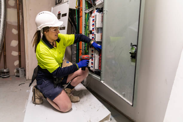 Best Home Electrical Repair  in Lamont, MI