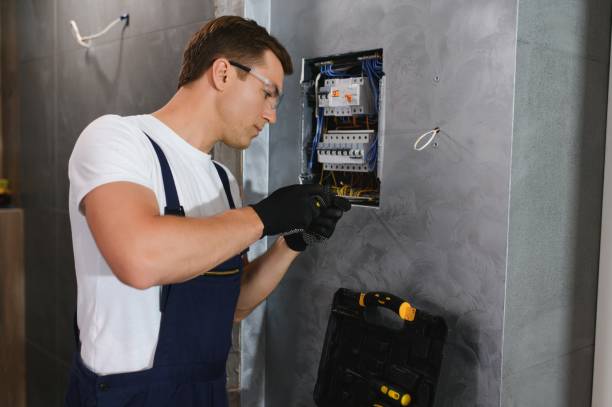 Best Affordable Electrician  in Lamont, MI